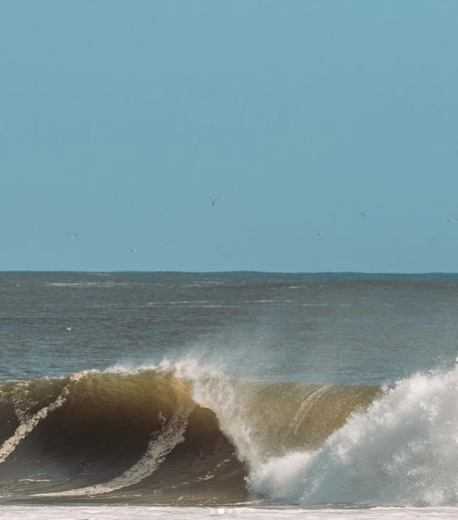 rustysurfboards tweet picture