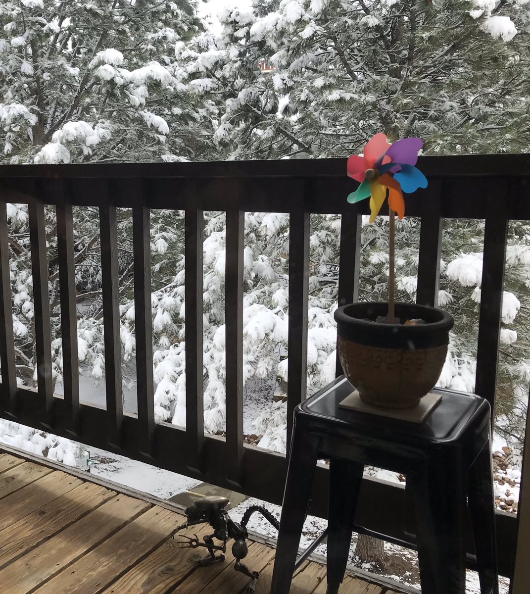 HootieMcOwlface's tweet photo. 💜I love my @AmplifyNGO pinwheel from the fabulous peeps @AmplifydenverB. 🌈
Some days it really sets the tone for WFH. ✨#PinwheelPower 💫 https://t.co/wecXA3gCfQ