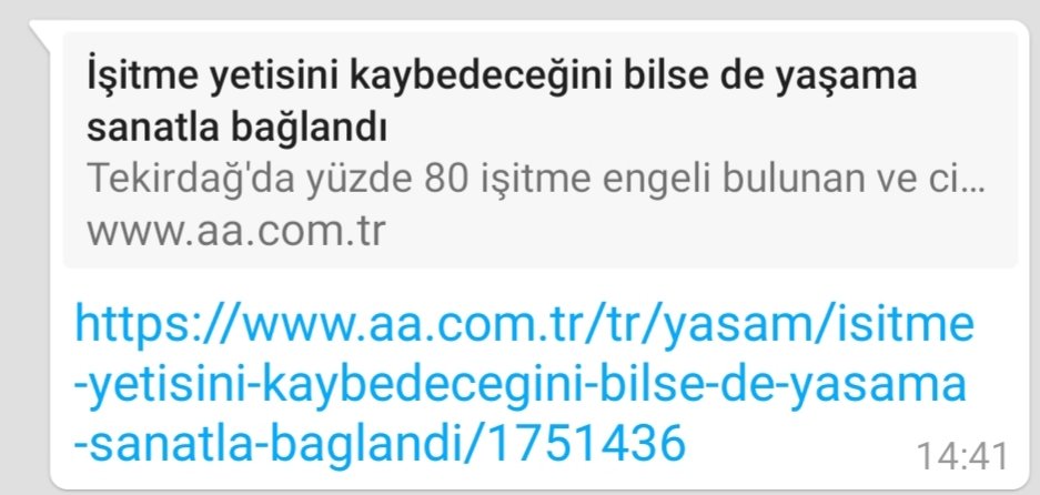 Melin Meriç (@mericmelin) on Twitter photo 