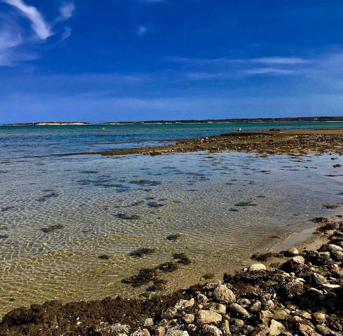 Today’s #MarthasVineyard escape: Edgartown lighthouse beach  

👉Book your 2020 #KelleyHouseMV getaway today:  bit.ly/KelleyHouseWeb…