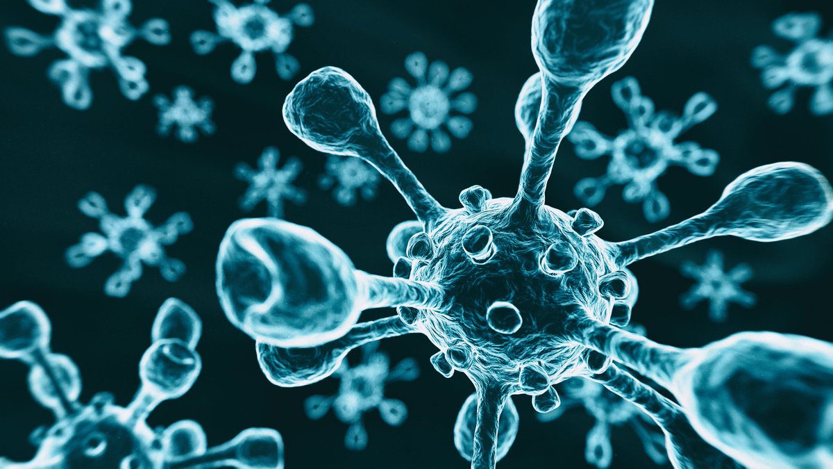evans_riya's tweet photo. More innteresting updates on Biotechnology
Explore your research activities on World Biotechnology 2020 #London #UK
Get registered before the early bird registration gets closed
#biotechnology #genetics #immunology #molecularbiology 
#cellbiology https://t.co/7ID3dXr4RQ