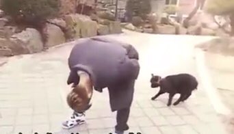 jiwonsbindaeyo's tweet photo. Example of Extra Entry:
my favourite hanbin moment was when kang ho dong asked whats the IQ of a goat and he said "i dont even know my IQ"
HEHE 🥰 #HelloHanbinlsFree https://t.co/fftOsFH2vy