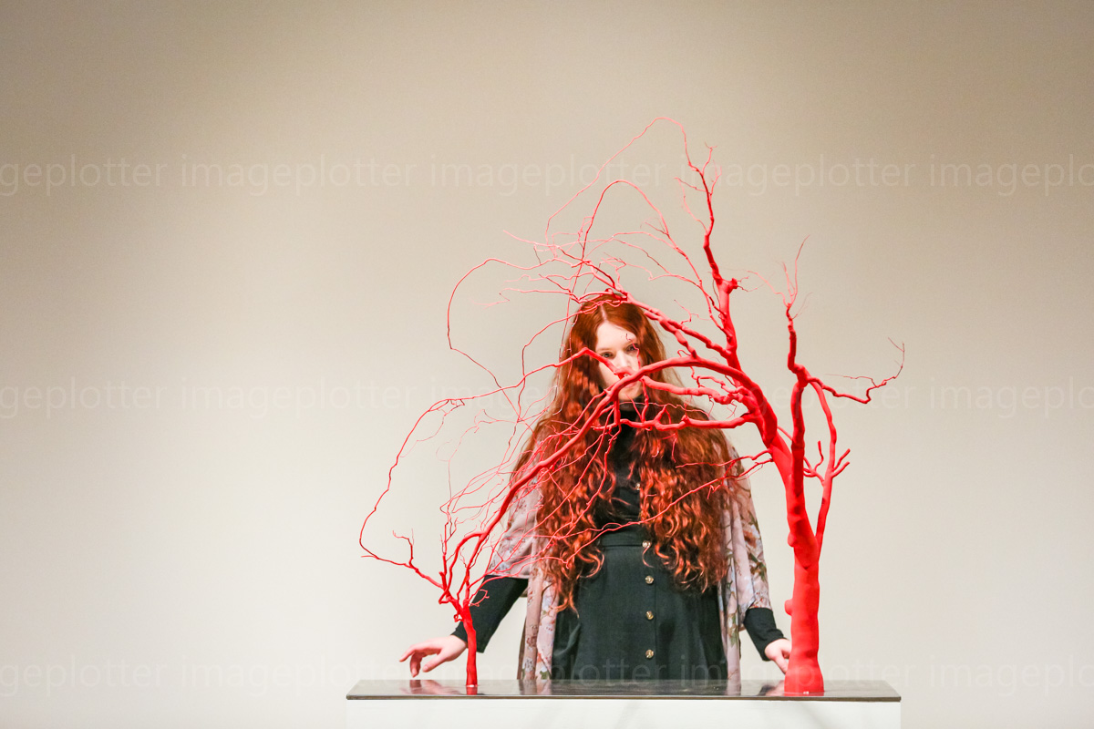 imageplotter's tweet image. A few shots from the #AmongTheTrees #exhibition exhibition photocall at the @haywardgallery this morning. Some lovely immersive installations, wish I'd had a bit more time to explore. Opens 4th March, link to picture set tiny.cc/2w6qkz