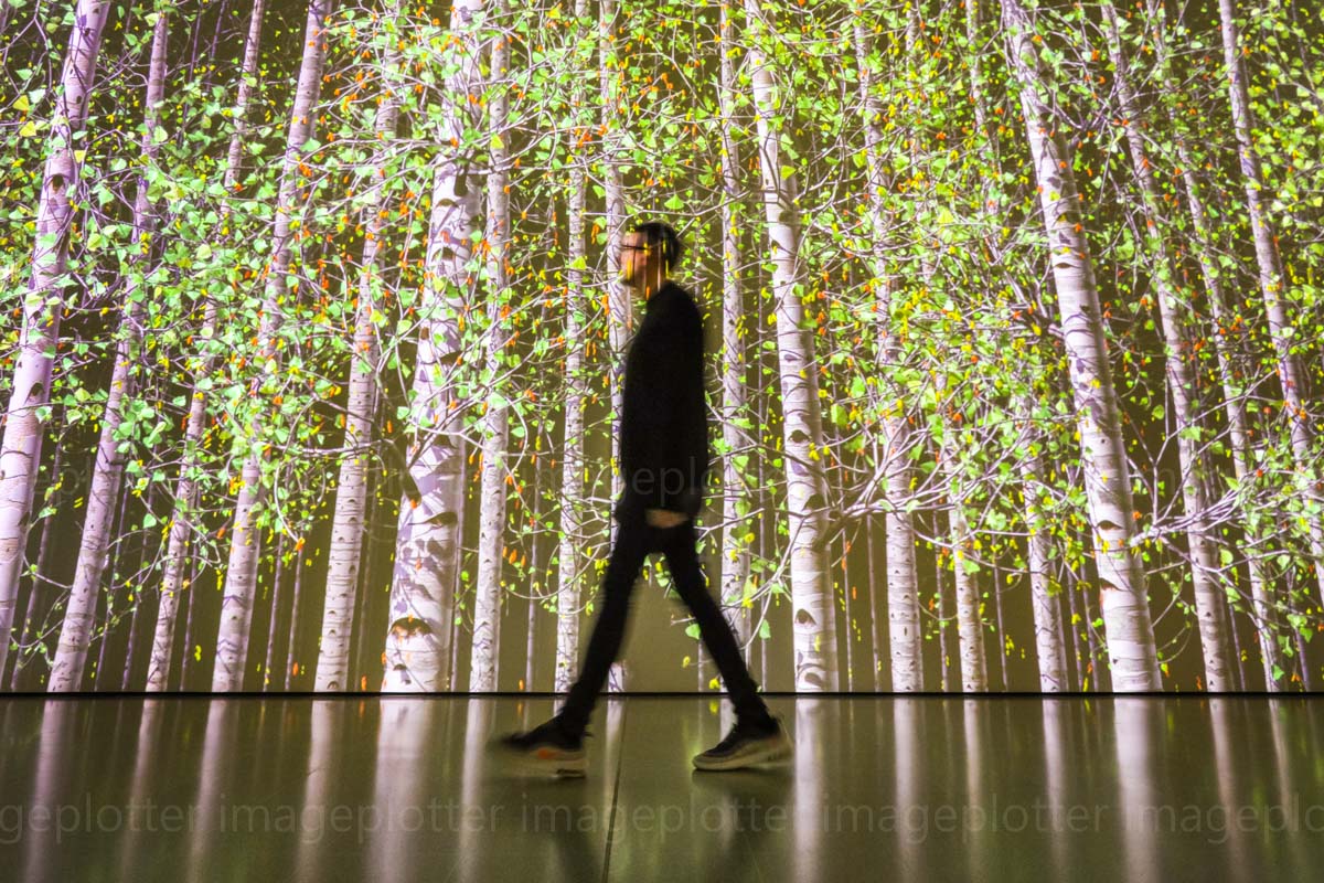 imageplotter's tweet image. A few shots from the #AmongTheTrees #exhibition exhibition photocall at the @haywardgallery this morning. Some lovely immersive installations, wish I'd had a bit more time to explore. Opens 4th March, link to picture set tiny.cc/2w6qkz
