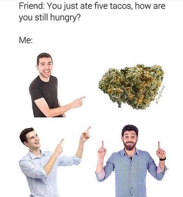 dan_chronicles's tweet image. Time for just a few memes this morning! Lots of work to get done today. Including adding new 420 clips to my channel: youtube.com/channel/UC3Yi9…

#Dans420Chronicles #NewClips #ComingToday #StayTuned