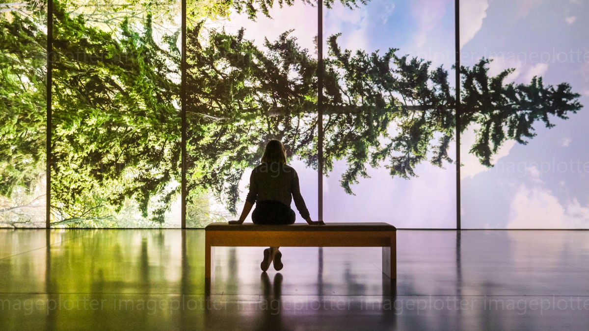 imageplotter's tweet image. A few shots from the #AmongTheTrees #exhibition exhibition photocall at the @haywardgallery this morning. Some lovely immersive installations, wish I'd had a bit more time to explore. Opens 4th March, link to picture set tiny.cc/2w6qkz