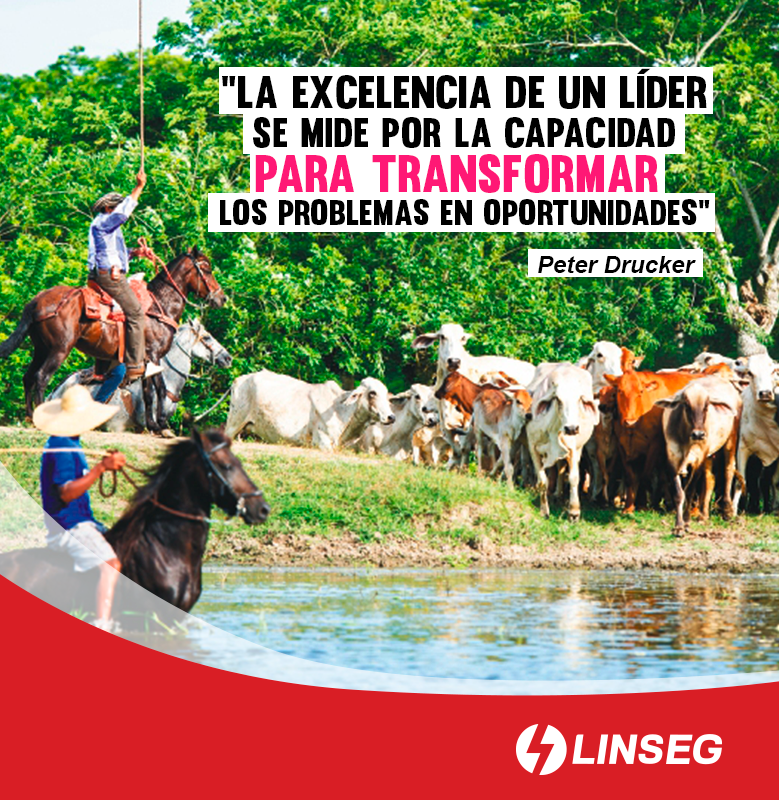 LINSEGPERU's tweet photo. ¡Feliz lunes querid@s amig@s! Hagamos que hoy sea un gran día 😊🤗😀🌞🍀
“La excelencia de un Líder se mide por la capacidad
para transformar los problemas en oportunidades” 
#FelizLunes #Linseg #LíderEnCercosEléctricos  #Ganadería
👉 Visita nuestra web: https://t.co/YyoTfKYPLj https://t.co/YpHbHW2JT9