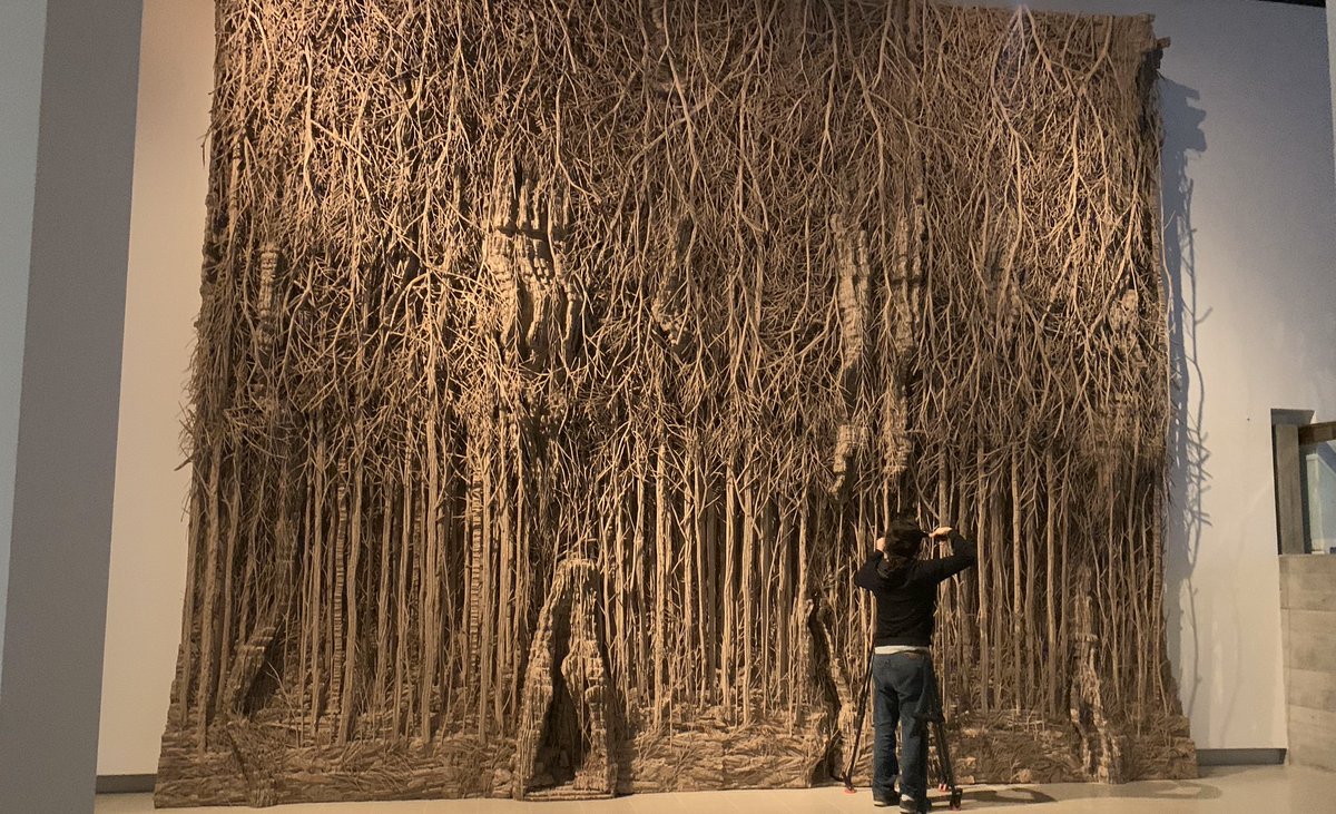 bernibee's tweet image. Is there much in life that’s better than trees? Not really. So was very excited to see a preview of #AmongTheTrees @haywardgallery today - opens Mar 4