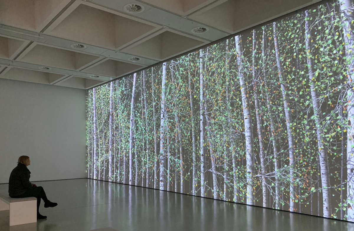 bernibee's tweet image. Is there much in life that’s better than trees? Not really. So was very excited to see a preview of #AmongTheTrees @haywardgallery today - opens Mar 4