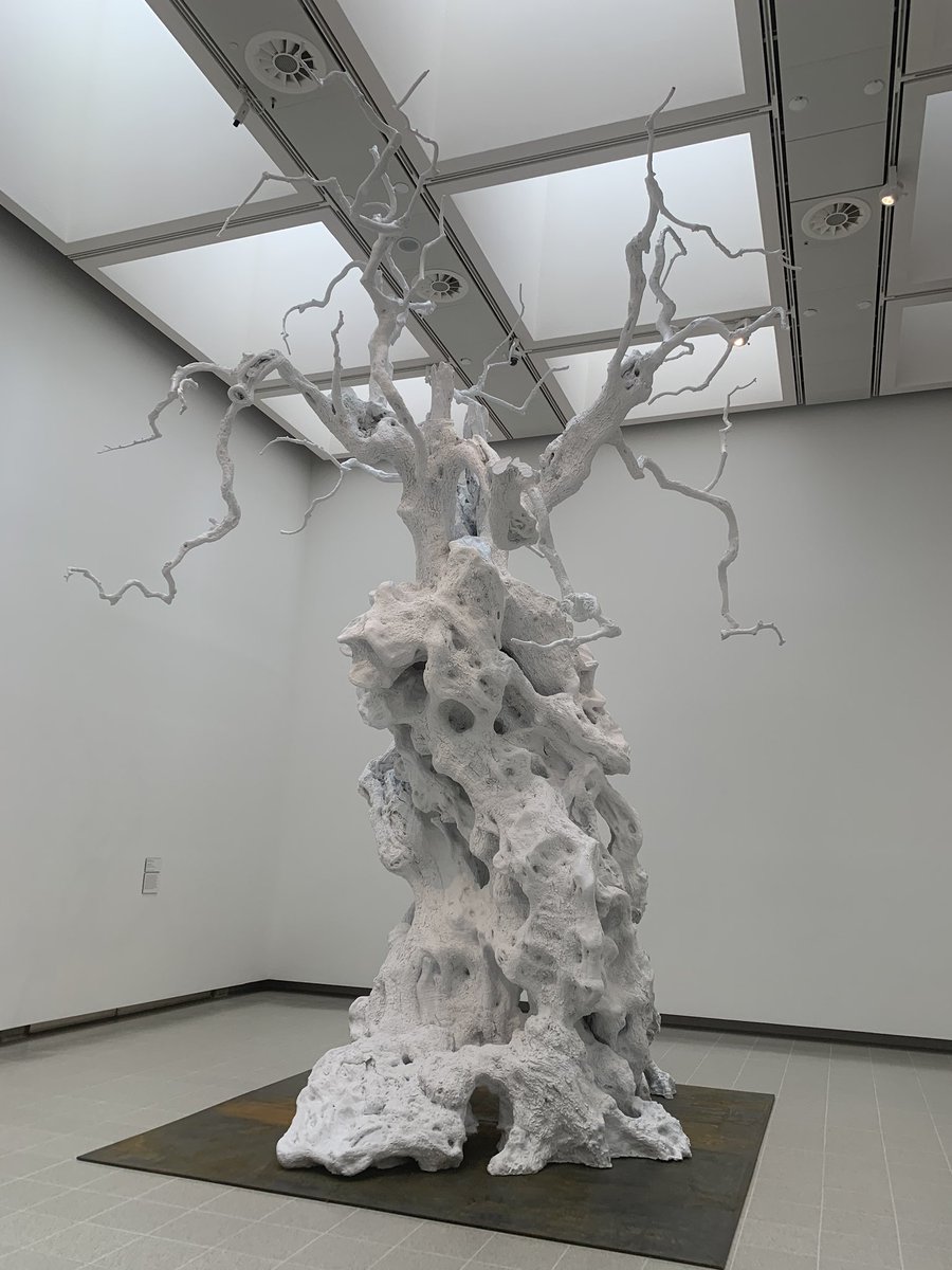 bernibee's tweet image. Is there much in life that’s better than trees? Not really. So was very excited to see a preview of #AmongTheTrees @haywardgallery today - opens Mar 4