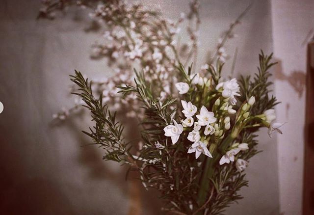 Mother Earth &amp; her glorious Botanicals - Our newest newsletter with news and newness. Including a wonderful botanical and well being evening on 19th March with @londebotanics &amp; @yolandachiarmello
. ift.tt/2wY2oBu