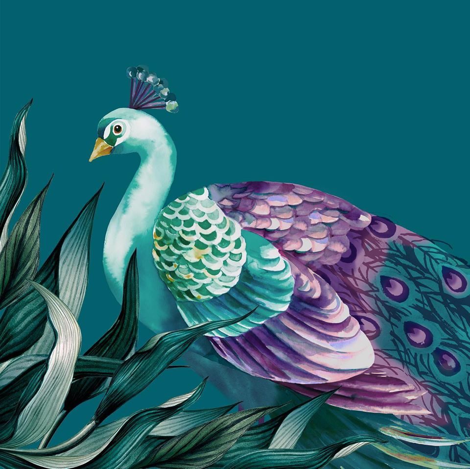BiancaHomeDecor's tweet photo. Up close and personal with Creative Design In-Making  🦚 #watercolour #peacockart #loveBianca #interior #lookoftheday #HandPaint https://t.co/kXU4SCtNI2