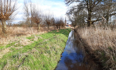 Een team van ecologen en landschapsarchitecten startte onlangs vol enthousiasme met het opstellen van een #natuurvisie voor het buitengebied van de gemeente Geldrop-Mierlo. Wat we gaan doen? Lees hier meer:  sab.nl/natuurvisie-bu…