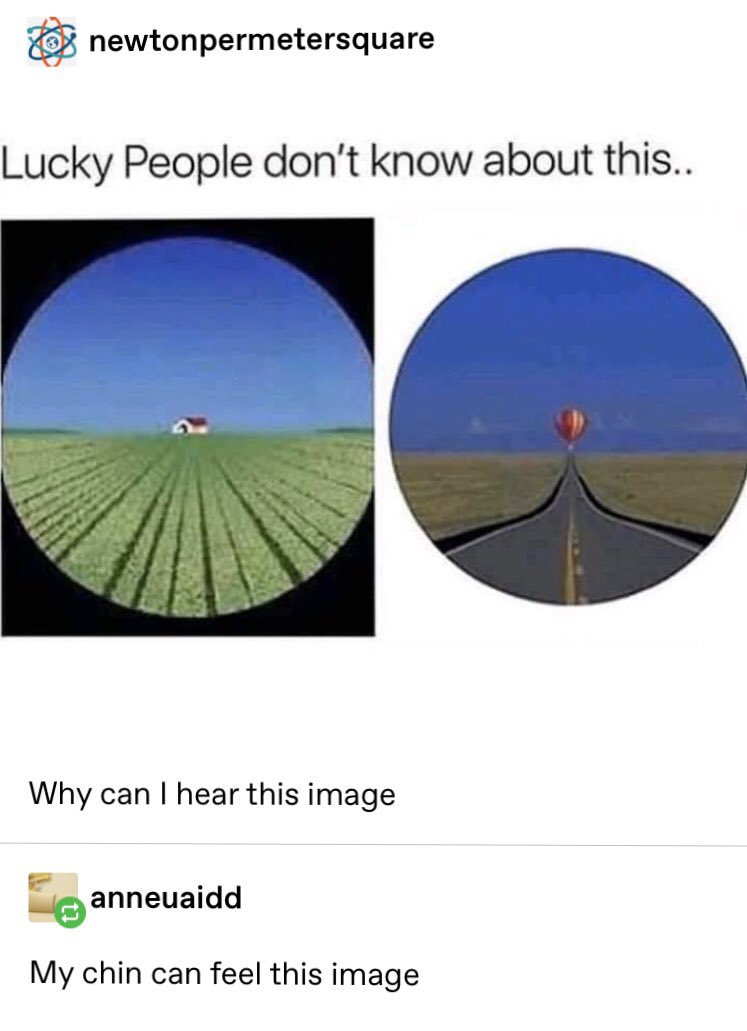 ohtumblroh's tweet image. 