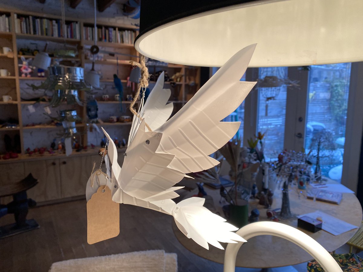NearmissToronto's tweet photo. #MagpiePeaceDove  Peace from snowbound Toronto. https://t.co/iZsI6sxuC7