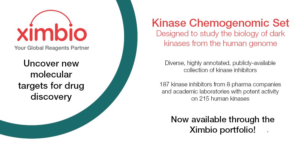 Ximbio's tweet photo. Discover a new #Kinase Chemogenomic Set from @therealKCGS https://t.co/uRzXRkpWDP #datasheet #lifesciences #reagents #inhibitors https://t.co/vvgG88uMGA