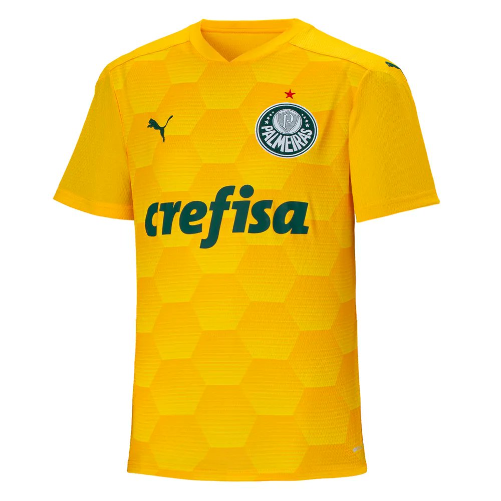 camisa palmeiras 3gg