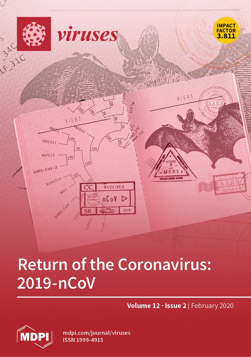 TheMenacheryLab's tweet image. While it seems like eons ago, the commentary by @LisaGralinski and I was selected for the cover of @VirusesMDPI .  Credit to my friend Matty K who made the cover art happen.  mdpi.com/1999-4915/12/2
