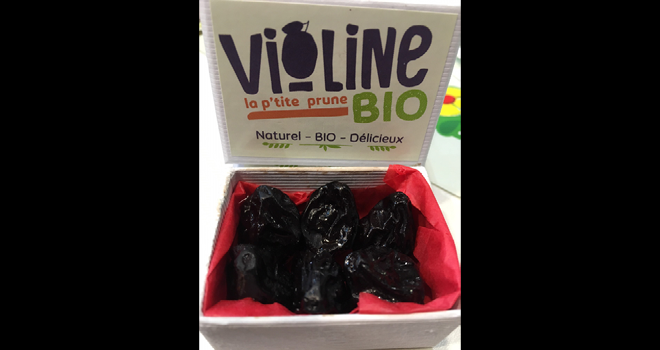 Mediafel's tweet photo. === #Prune ===
Environ 100 tonnes de prune bio « Violine » devraient être récoltées en 2020, et vendues en magasins spécialisés et en #GMS.
#datil #bio #agriculture #fruits #prayssica

➡️  https://t.co/sk1P50OEe8 https://t.co/eRDXgCYyCS