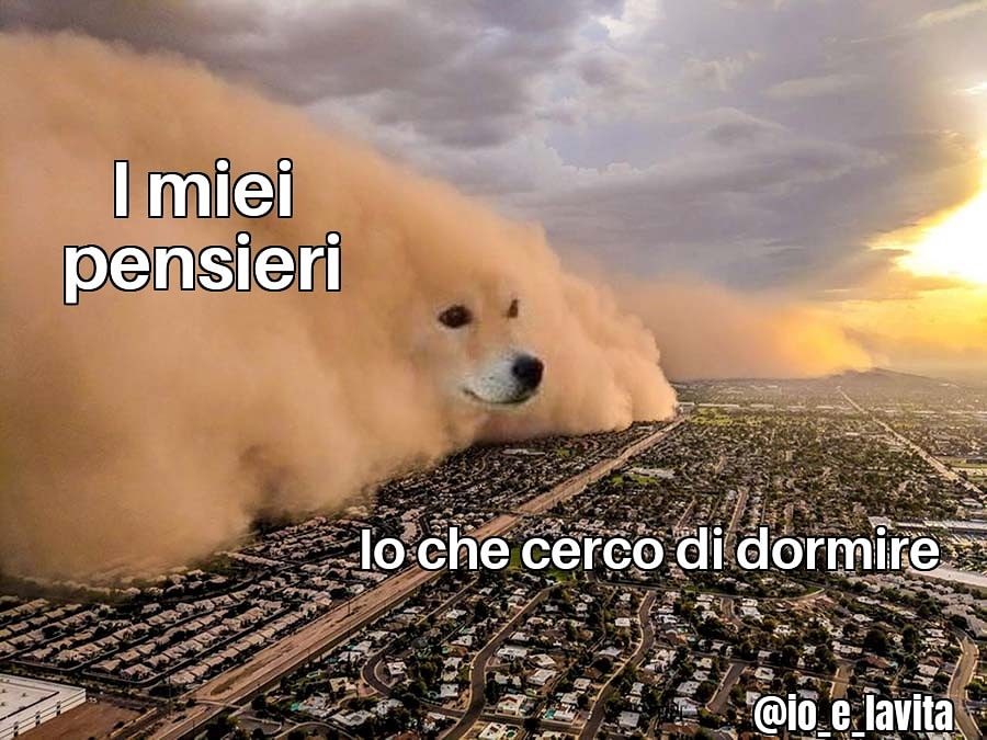 IOELAVITA1's tweet photo. Comincio a pensare che il mio cervello pensi troppo 🤔 #foto #meme2020 #io_e_lavita https://t.co/hfcCWhh5kY