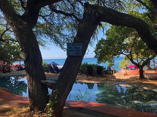 daveschilling's tweet photo. Our perfect breakfast spot... #jakestreasurebeach #jamaica #breakfast #paradise #tablewithaview @debbswalsh https://t.co/c5laQcueg1 https://t.co/Xp0GAwH511
