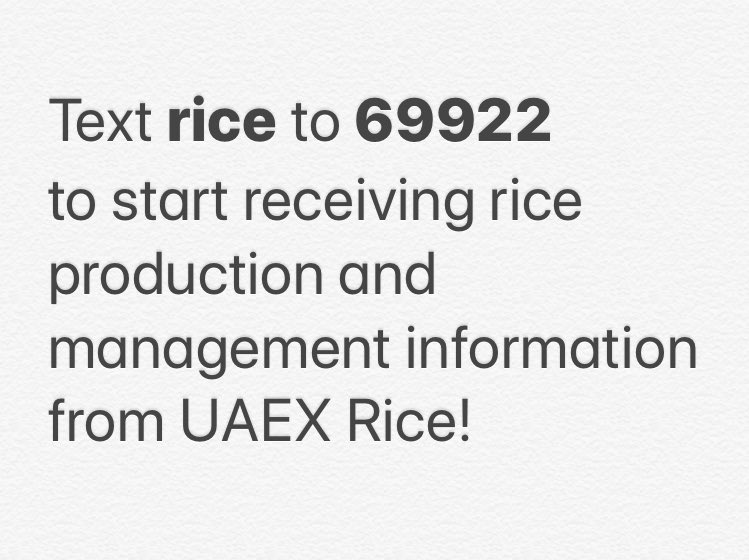 JHardke's tweet photo. Text RICE to 69922 to start receiving rice production and management information from UAEX Rice!

Reply STOP to cancel, HELP for help. Msg&amp;data rates may apply. Terms &amp; privacy: https://t.co/LXB9tJq4JQ
More info:
https://t.co/AZ7EFSllxj
#ARrice #ARcrops https://t.co/3e00DOQbi9