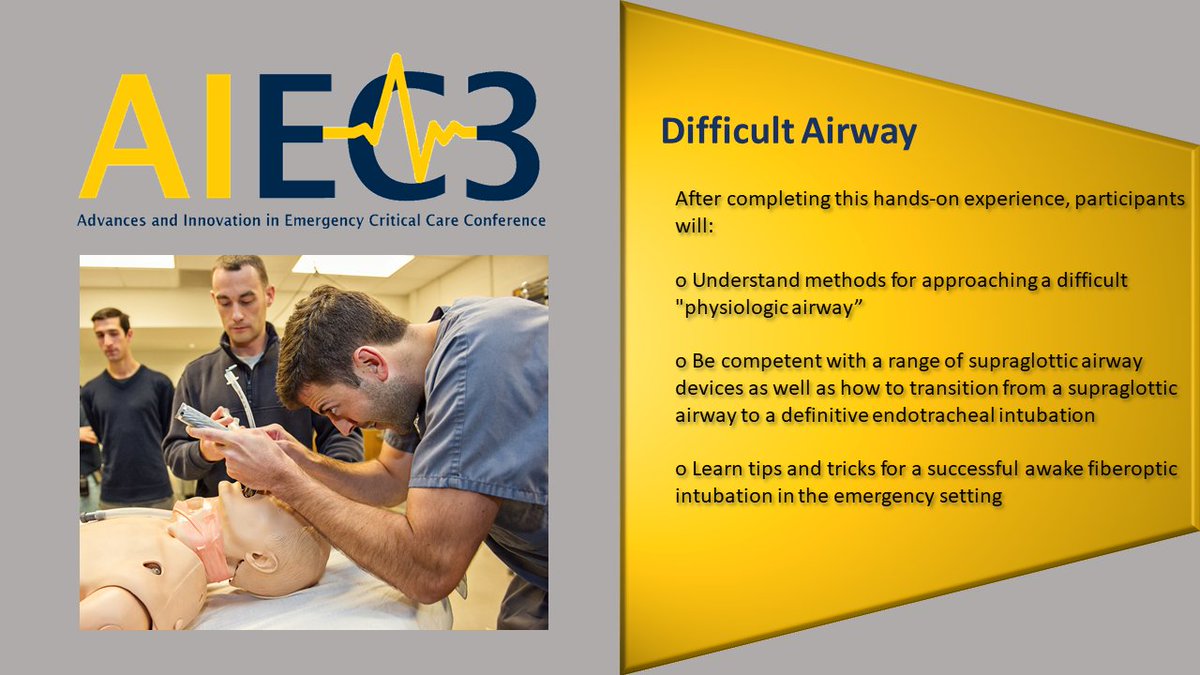 Lisa (Herald) Coon tweet media