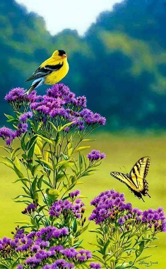 Gate_Project's tweet image. There is such beauty in nature.