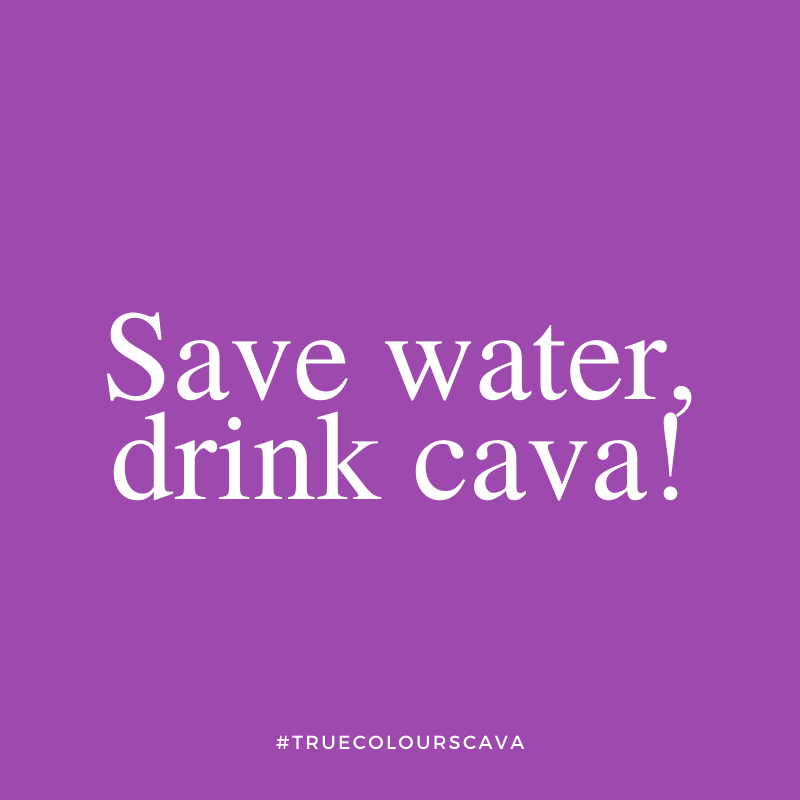 TrueColours_US's tweet photo. New month! New goals! 🌈🥂#truecolourscava https://t.co/VaDhVJUNCS
