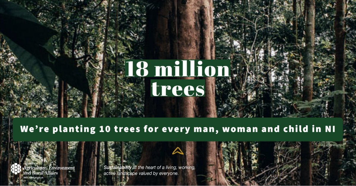 daera_ni's tweet photo. DAERA Minister Edwin Poots @poots2edwin has pledged to help tackle #ClimateChange by planting 18 million trees over the next 10 years #pootsplantingpledge – 10 for every person in Northern Ireland as part of #forestsforourfuture programme More info at: https://t.co/SSmXAaT5mn https://t.co/ZV73yJuMym