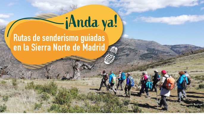¡ANDA YA! Rutas de senderismo guiadas en la #SierraNortedeMadrid
Un proyecto colaborativo con las empresas de turismo activo del territorio para promover el senderismo acompañados de guías de montaña.
👉Más info en: sierranortemadrid.org/rutas-guiadas
¡Vente a caminar! @TurismoMadrid