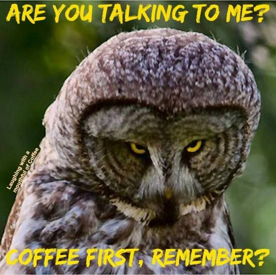 Says everyone on #MondayMorning