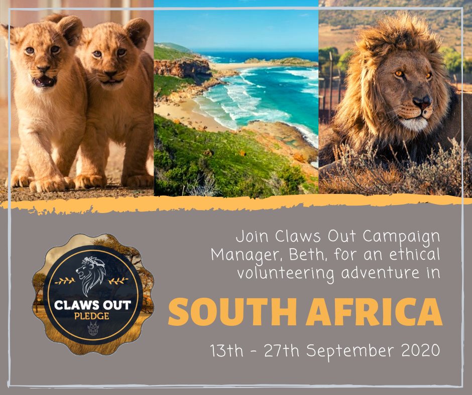 IAPWA's tweet photo. Join @talktotheclaws Campaign Manager Beth for a week of ethical volunteering at #LIONSROCK run by the amazing @fourpawsint, followed by a road trip through the stunning Garden Route of South Africa 🏞

Find out more &amp; download the full trip itinerary here https://t.co/Azx7qHB6A8 https://t.co/XnHk4JFLyE