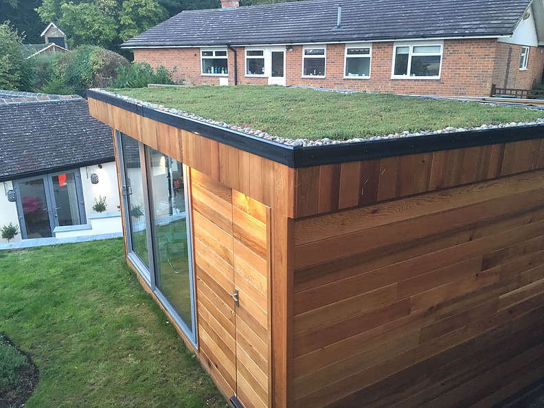 Increase the biodiversity in your #garden by adding a #greenroof to your #gardenroom design bit.ly/2lWV1PO  HoneybeeSeedling #greenroof #sedum #gardendesign