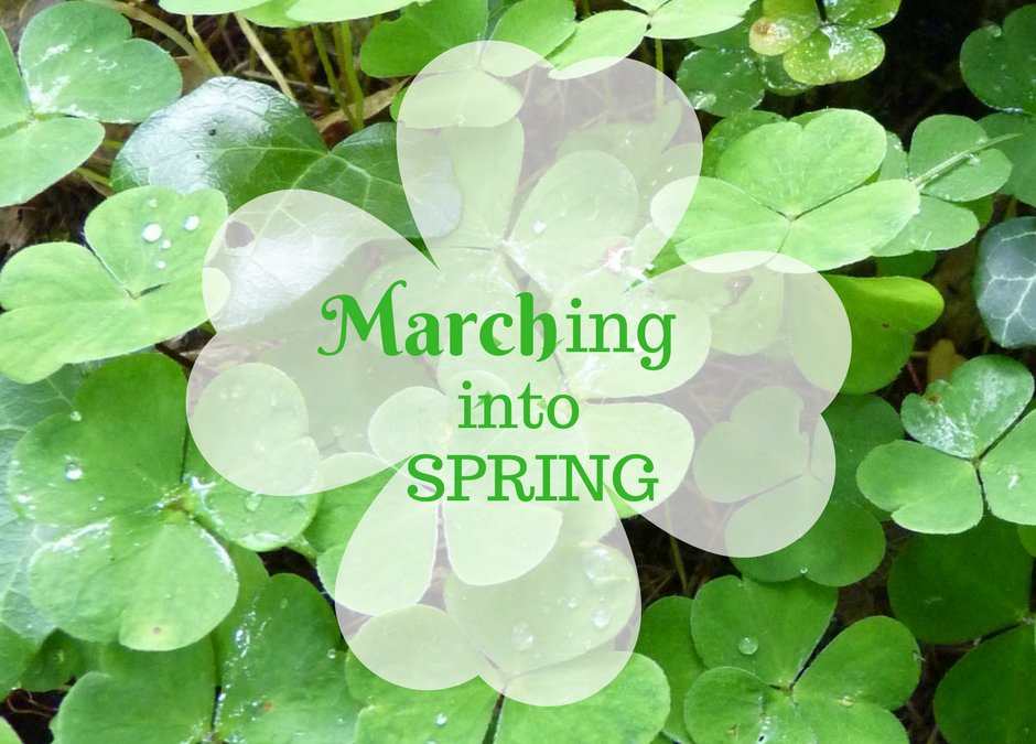 Dntstry4Chldrn's tweet photo. Marching into March: the sun is out which means people have a spring in their step. Did you enjoy the balmy Sunday weather? #DentistryforChildrenandFamilies #Spring #March https://t.co/Qg5glwTTdK