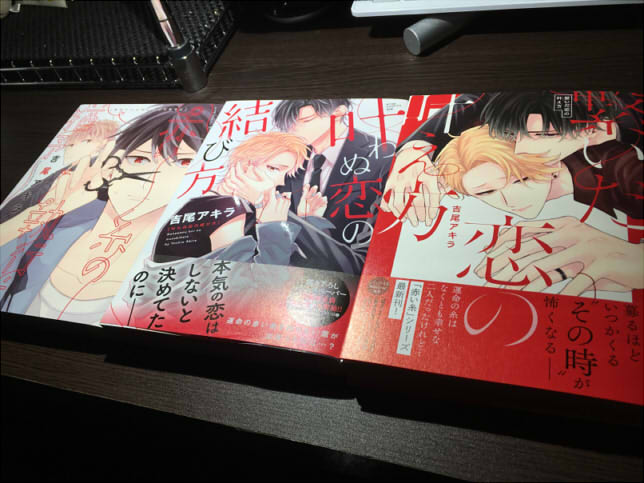 赤い糸の執行猶予 叶わぬ恋の結び方 繋いだ恋の叶え方