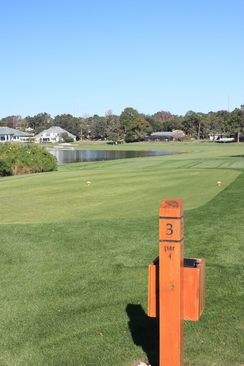 On The Tee Magazine tweet media