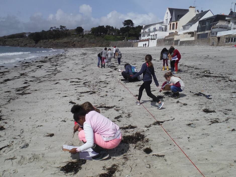 Biodiville's tweet photo. Plages vivantes
Aidez les scientifiques à mieux comprendre le fonctionnement de l'écosystème des hauts de plages https://t.co/F4RSUlKffi #sciencesparticipatives #plagesvivantes https://t.co/TA1F1Bi1cI