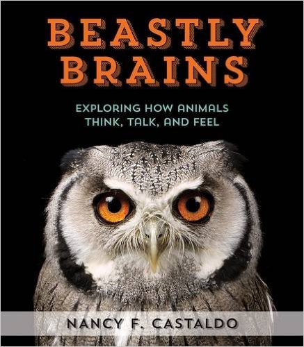 NCastaldoAuthor's tweet photo. A.3. Or pair BEASTLY BRAINS @HMHKids w/ THE ONE AND ONLY IVAN @kaaauthor #STEAM #bookpairs #STEM #MGBookChat https://t.co/AtDcHOcKg3