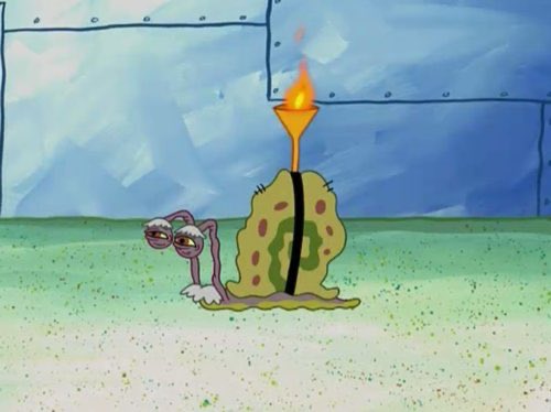 foxygrandpa62's tweet photo. #MondayMotivation https://t.co/0W2KD9FkTg