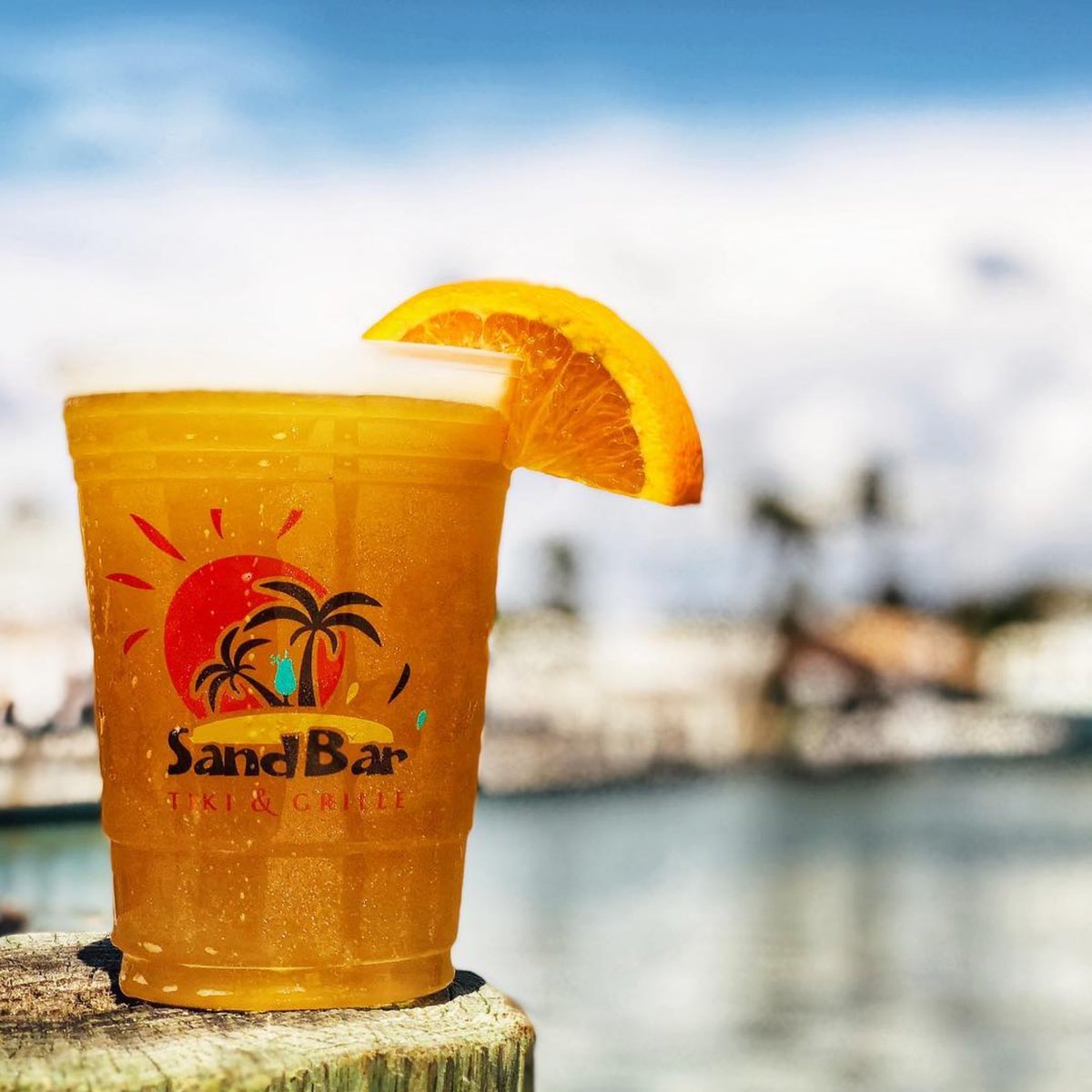beachlifemind's tweet photo. “Life is short, take the trip” 🏖 #beachlifemindset #getbeachy
#englewoodbeach
photos: @rotondapalmvilla @wannabinn @sandbartikigrille https://t.co/ILk7Zjw2QA