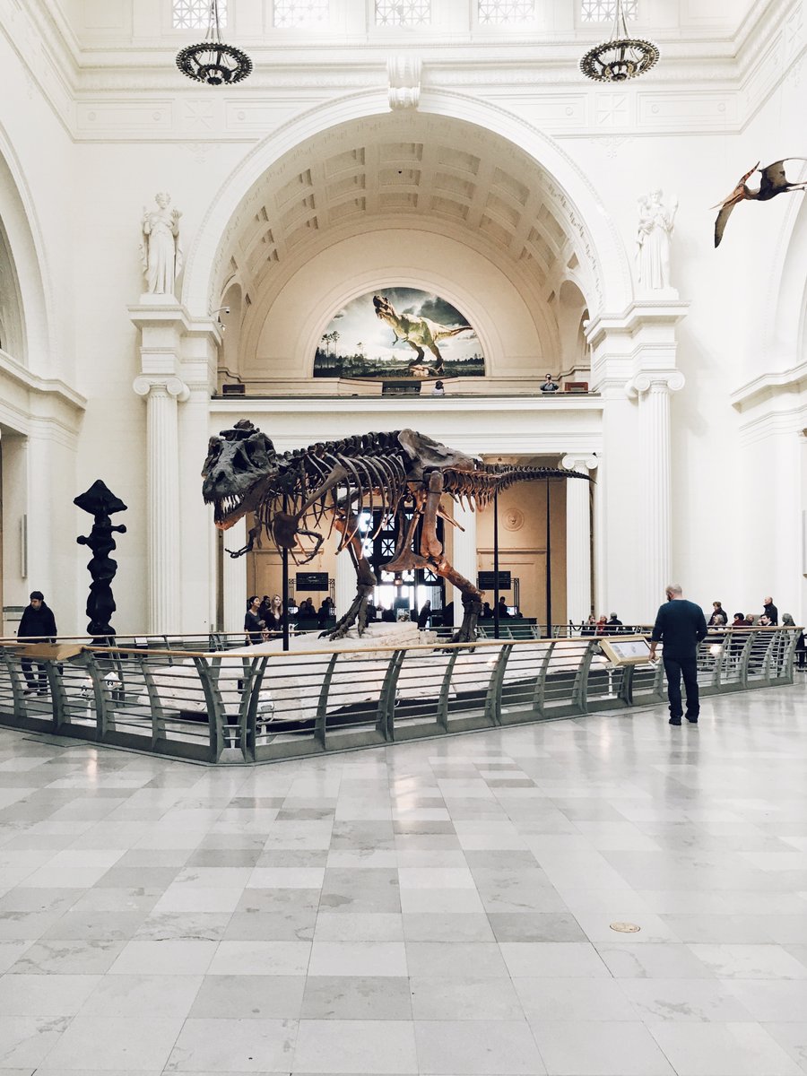 museumscholar's tweet photo. Museums have perpetuated racist worldviews. Chicago's Field Museum unfortunately did just that through the 1960s. 

Read how: https://t.co/CpUVGBYq6M

"Curating Racism: Understanding Field Museum Physical Anthropology from 1893-1969" by Lucia Procopio https://t.co/T1NVpu9bDY