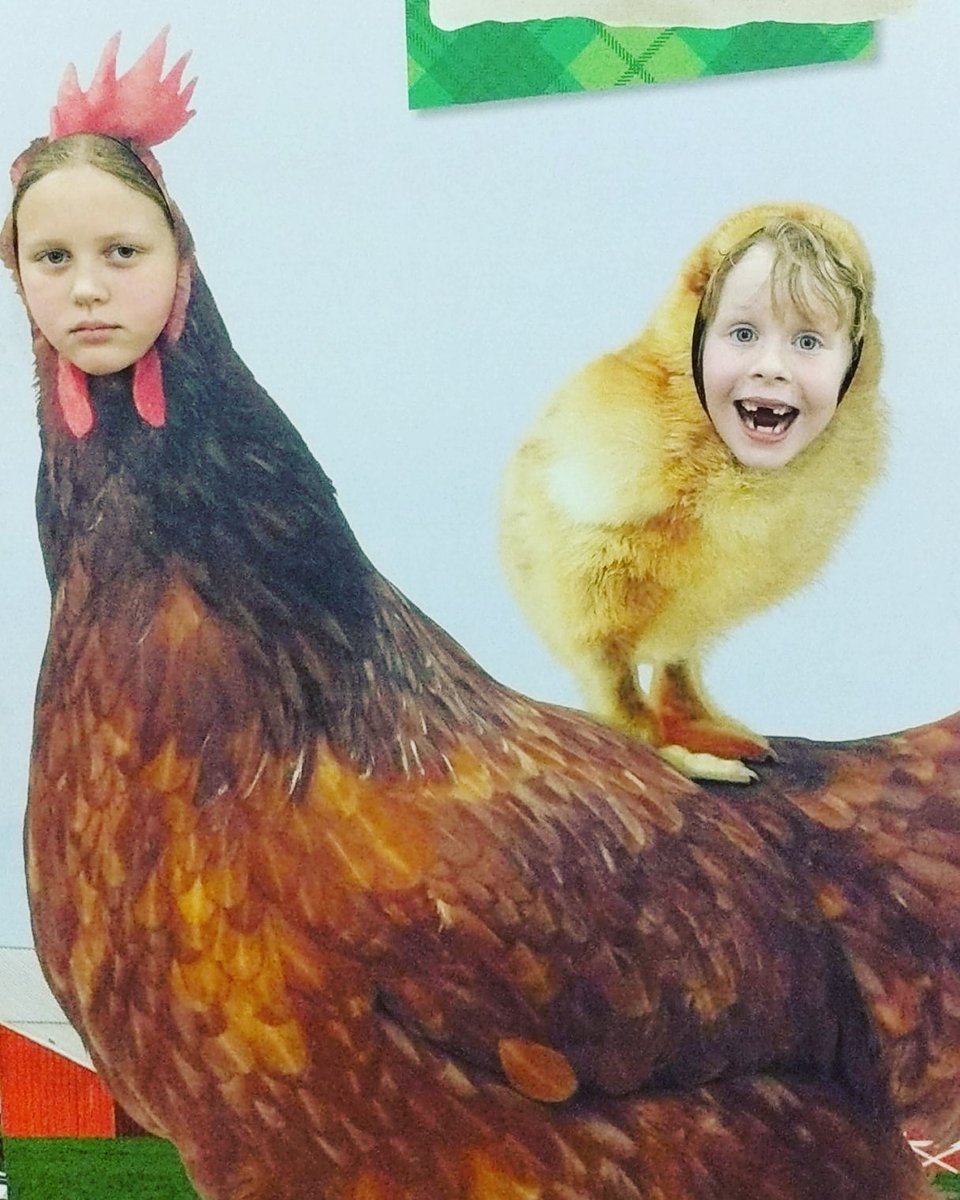 wuddyoh_kayjo's tweet photo. This is an accurate representation of my daughter's as individuals currently.
#theangstisreal with Marlee obvs๐๐ https://t.co/1vqoXS5OyU
