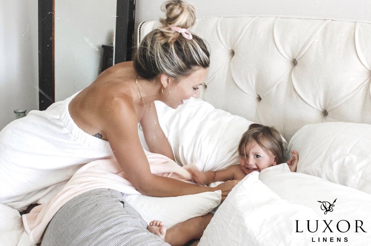 Luxor Linens tweet media