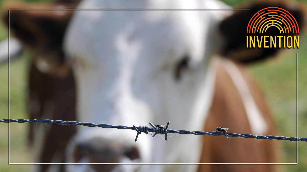 Barbed Wire megaphone.link/invention

You may very well encounter barbed wire every day – and, in all likelihood, you see THROUGH this flesh-ripping barrier. Where did this invention come from? How did it change the world? We discuss “the devil’s rope” in this episode.
