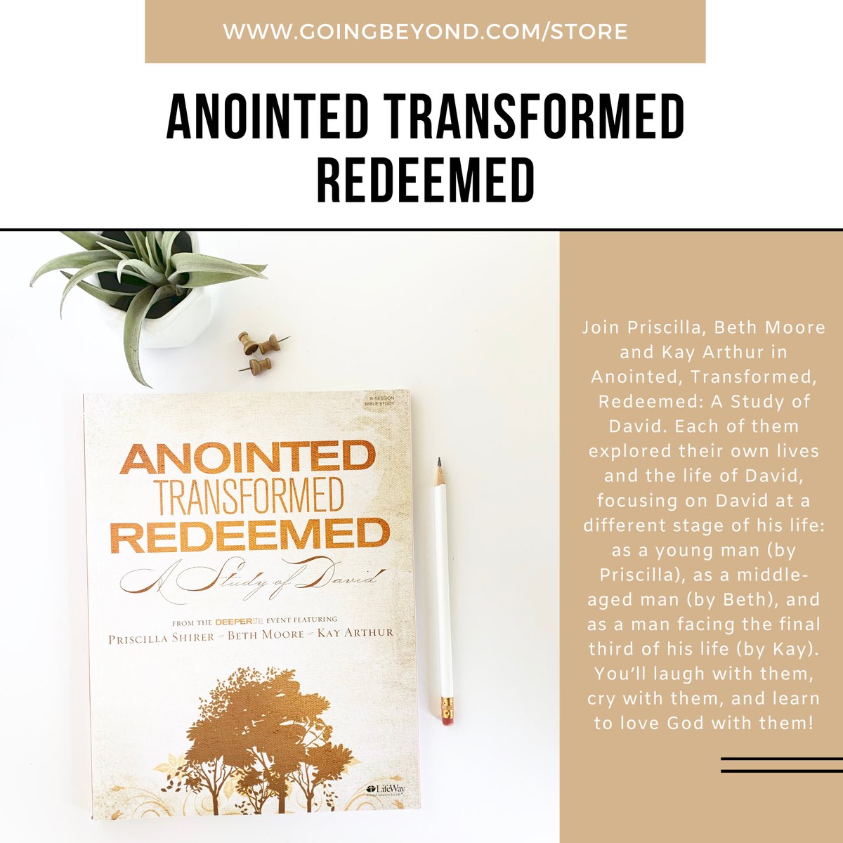 _GoingBeyond's tweet photo. In 2008, @PriscillaShirer, Kay Arthur, and Beth Moore explored their lives and the life of David at the #DeeperStill Event. From that, the Anointed Transformed Redeemed Study was birthed! You can find this gem and more of Priscilla’s studies at https://t.co/LJ4yxfQtFQ https://t.co/kC2yDyB9H8