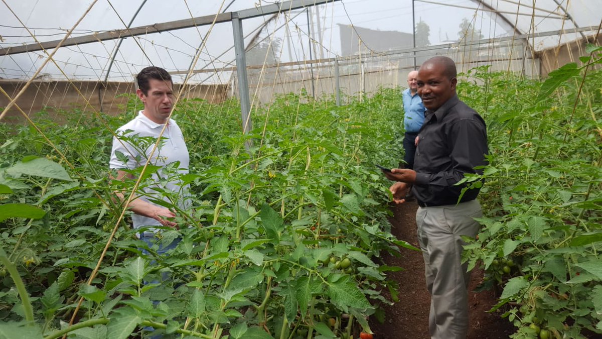 Today Arjan and Paul visiting the <a href="/ChildsLife_EN/">ChildsLife_EN</a>  greenhouses to optimize the crop yields at the Gatoto School in Mukuru slums, Nairobi. We were happy the see the construction of six new classrooms and we donate our Levarht sports kits to the local soccer team⚽.