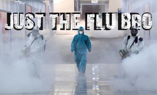 CDC on Twitter: "The latest CDC #FluView report is out. New York City,  Puerto Rico and 43 states continue to experience high #flu activity. Find  out if your state is on the