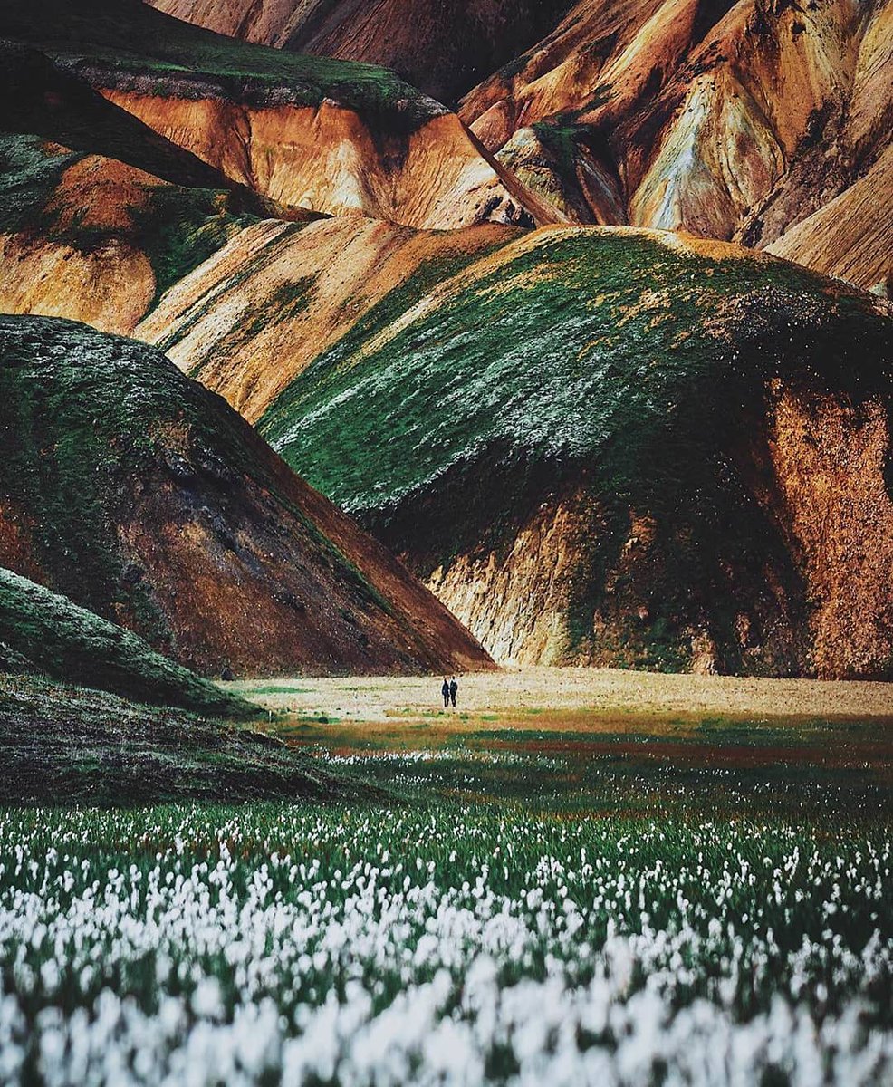 ATLAS_inst_'s tweet image. Quand les paysages ressemblent à des tableaux ...
Par _fabiozingg
•
•
•
#voyageurseneuropedunord #voyageursdumonde #iceland #icelandtravel #islande #highlands #outdoors #nature #wildernessculture #wilderness