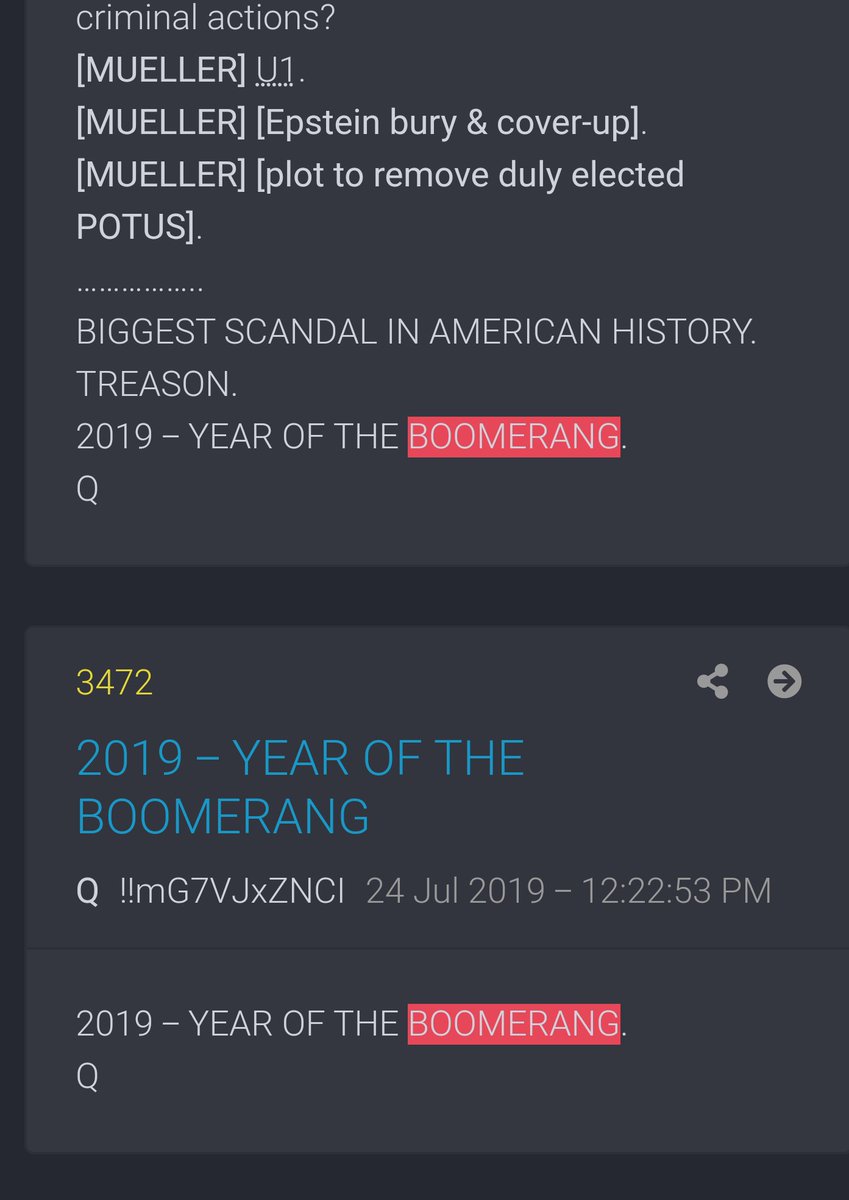  @Txgrown2020 spotted a boomerang in the pic.Fisa works both waysYear of the boomerang